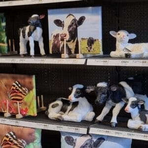 Farmwood Animals Buitenkussen, Buitenschilderijen en Polyresin Dieren_header_1